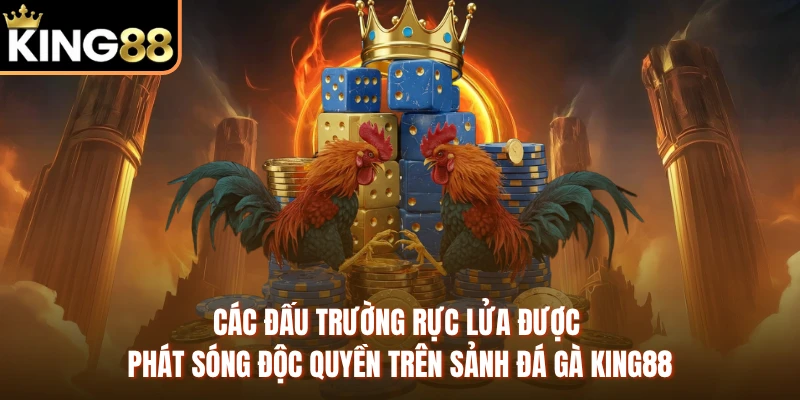 Các đấu trường rực lửa được phát sóng độc quyền trên sảnh đá gà KING88